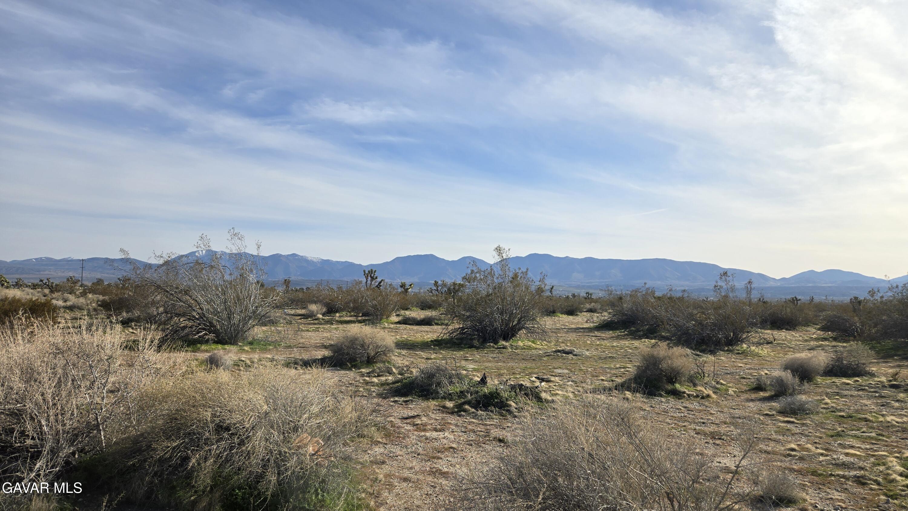 115th Street South Littlerock, CA 93543 - Photo 10 of 22 20260128_145031