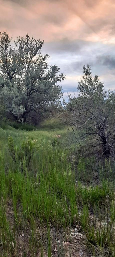 Tbd Southeast Tbd Se Lonesome Whistle Road Rye, CO 81069 - Photo 39 of 42