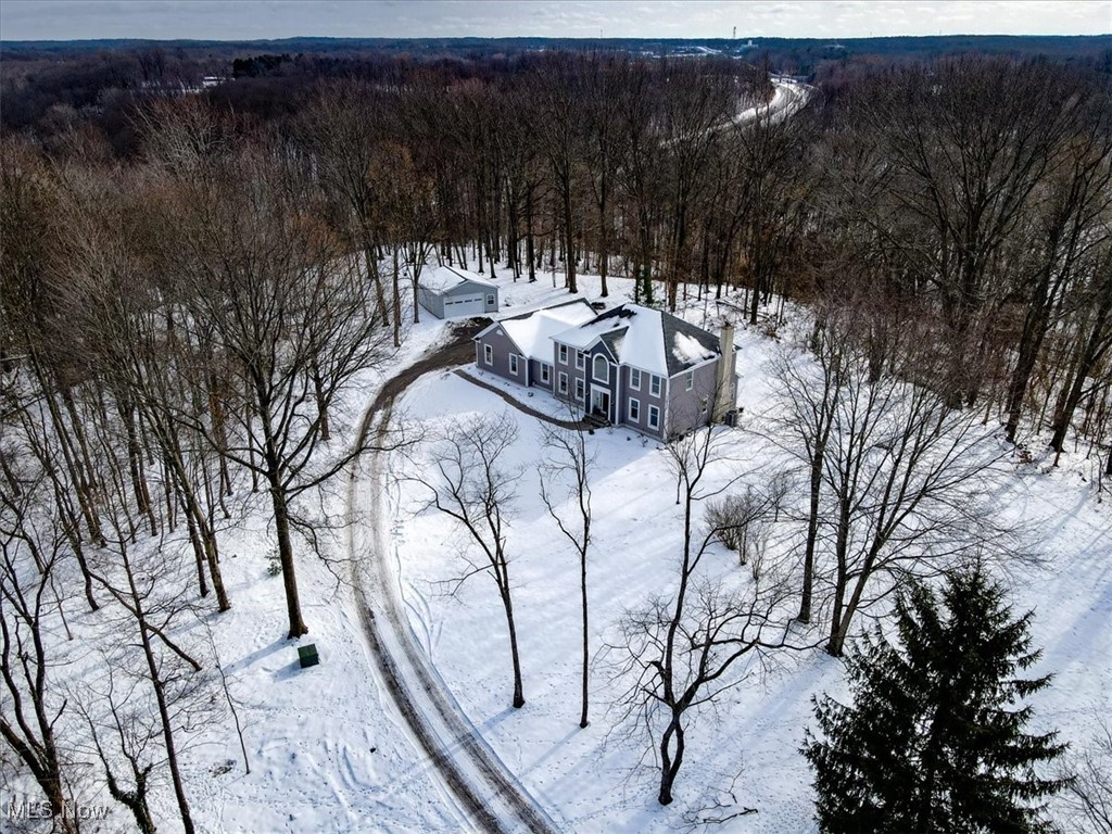 6691 Morley Road Painesville, OH 44077 - Photo 4 of 48 3 wooded acres of beauty