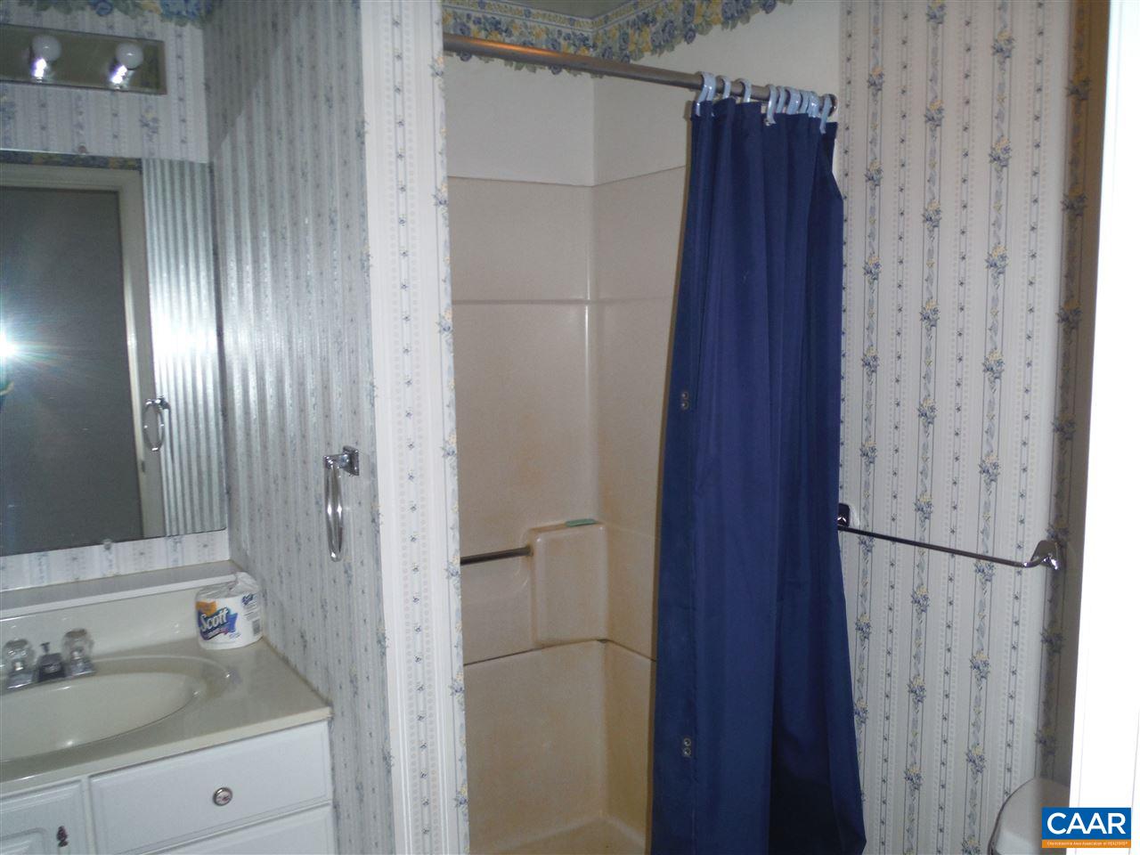 1270 Locust Grove Church Road Orange, VA 22960 - Photo 26 of 46 a bathroom with a sink and a mirror