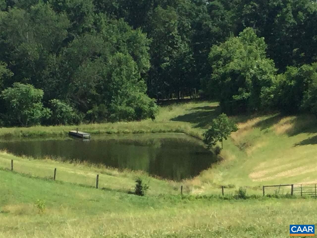 1270 Locust Grove Church Road Orange, VA 22960 - Photo 45 of 46 a view of a lake from a yard