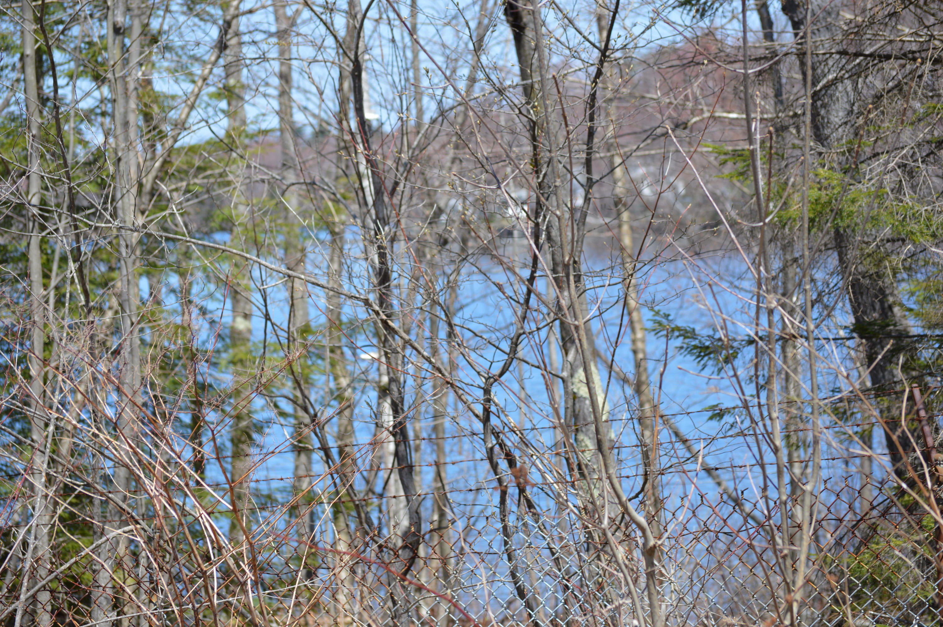 995 Plumb Road Becket, MA 01223 - Photo 7 of 12 a backyard of a house with lots of green space