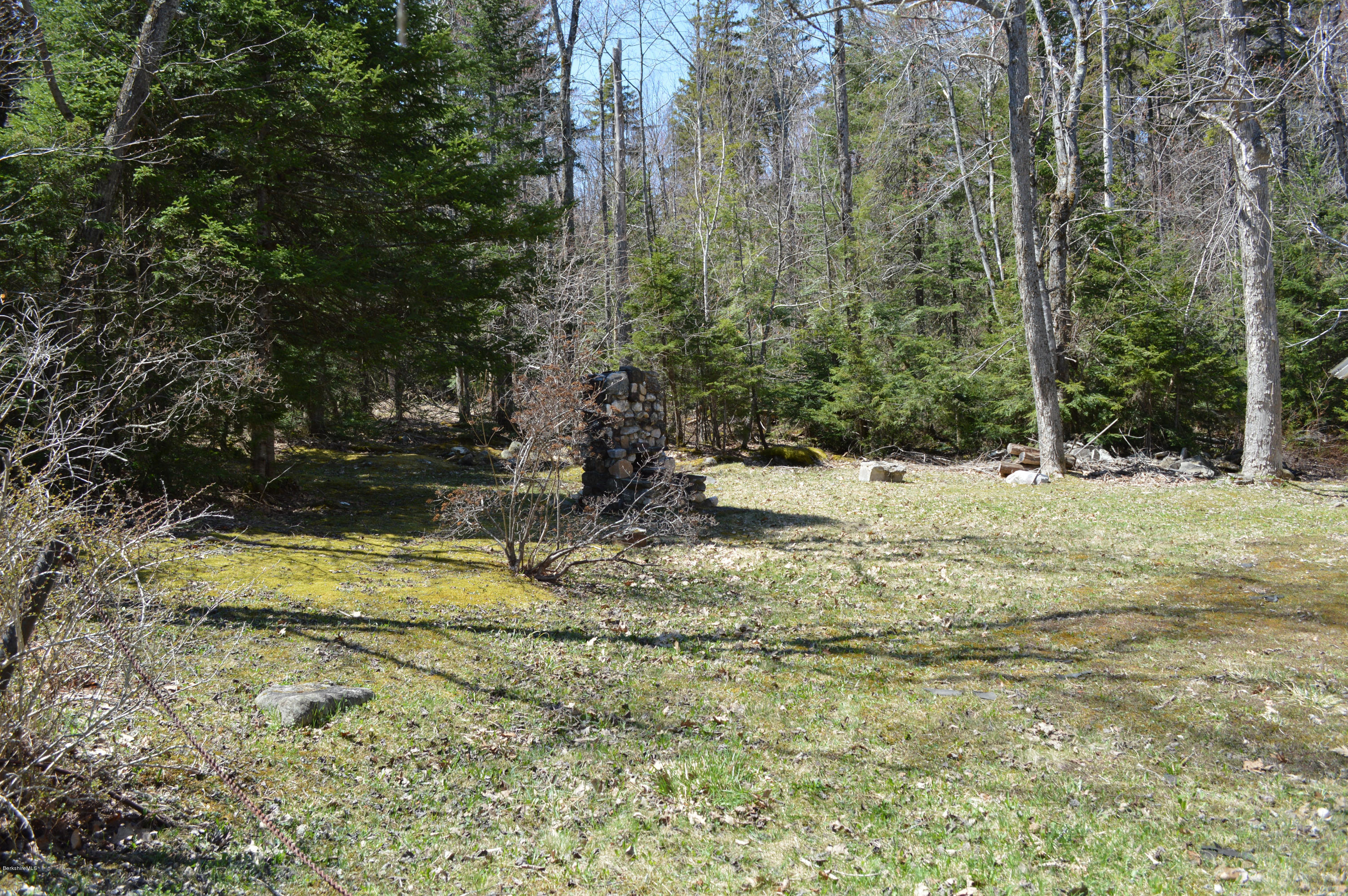 995 Plumb Road Becket, MA 01223 - Photo 10 of 12 a view of a yard with large trees