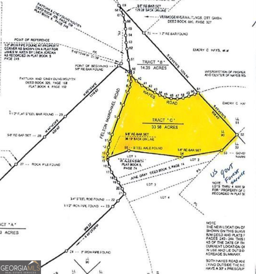 0 Felton Mcmichael Rd & Hayes - Landlot 090 Road Monticello, GA 31064 - Photo 1 of 7