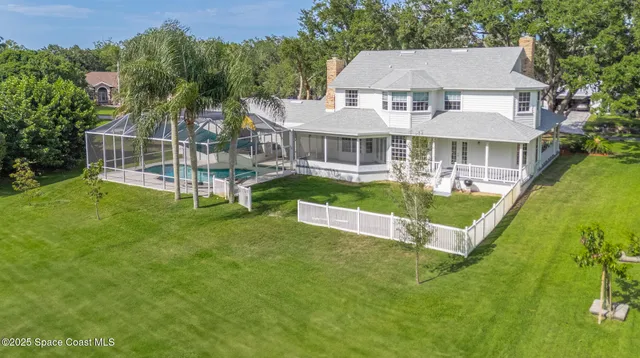 a view of a backyard with plants and palm tree