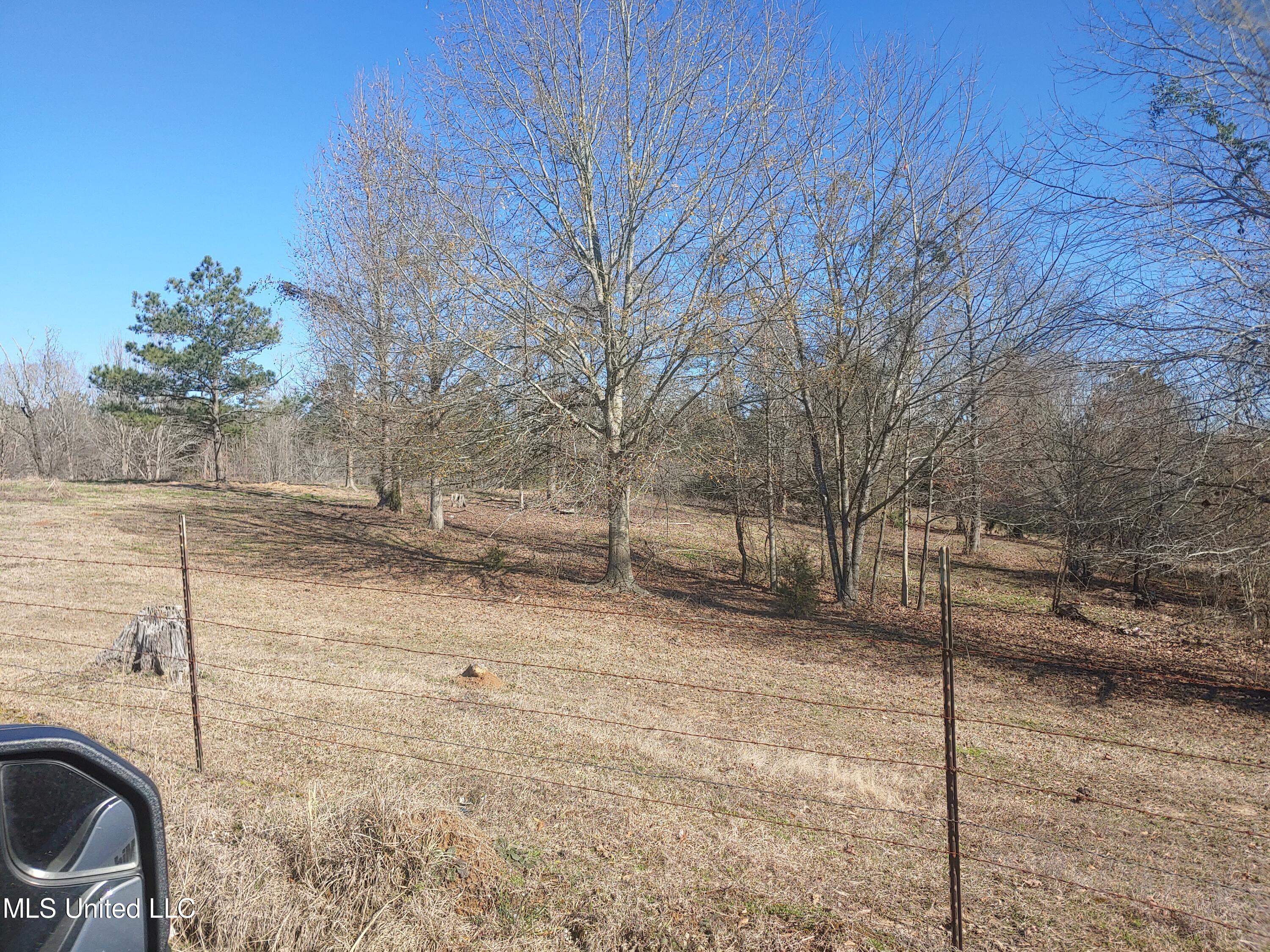 2104 Estes Mill Road Walnut Grove, MS 39189 - Photo 4 of 5 0122221107a