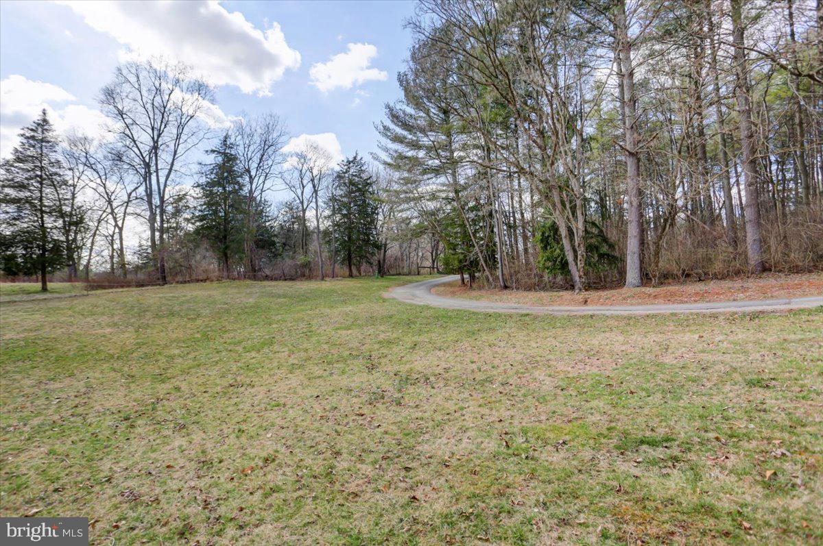 15530 Mobile Road Williamsport, MD 21795 - Photo 30 of 44 View of driveway