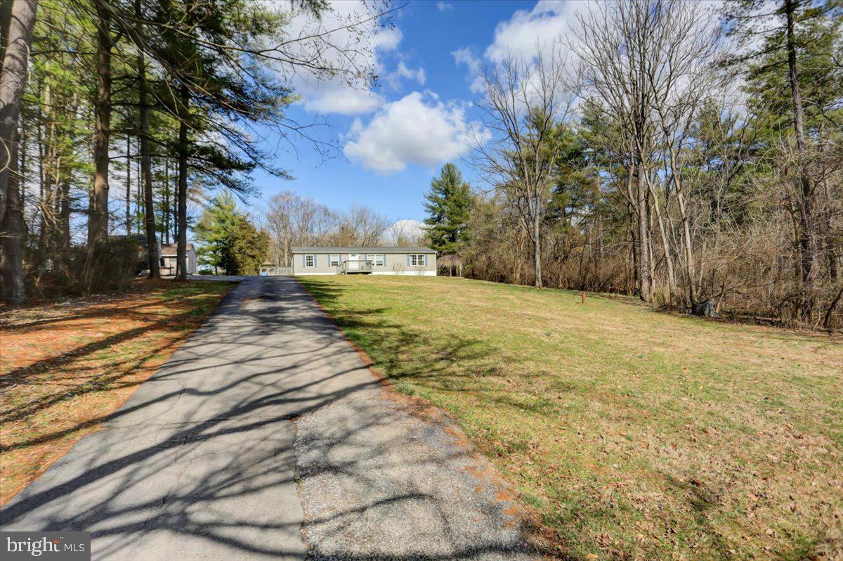 15530 Mobile Road Williamsport, MD 21795 - Photo 31 of 44 Driveway back to house