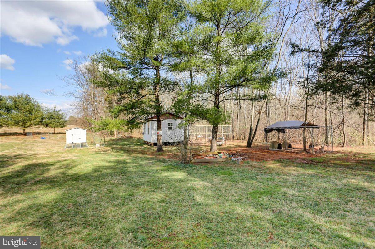 15530 Mobile Road Williamsport, MD 21795 - Photo 39 of 44 backyard