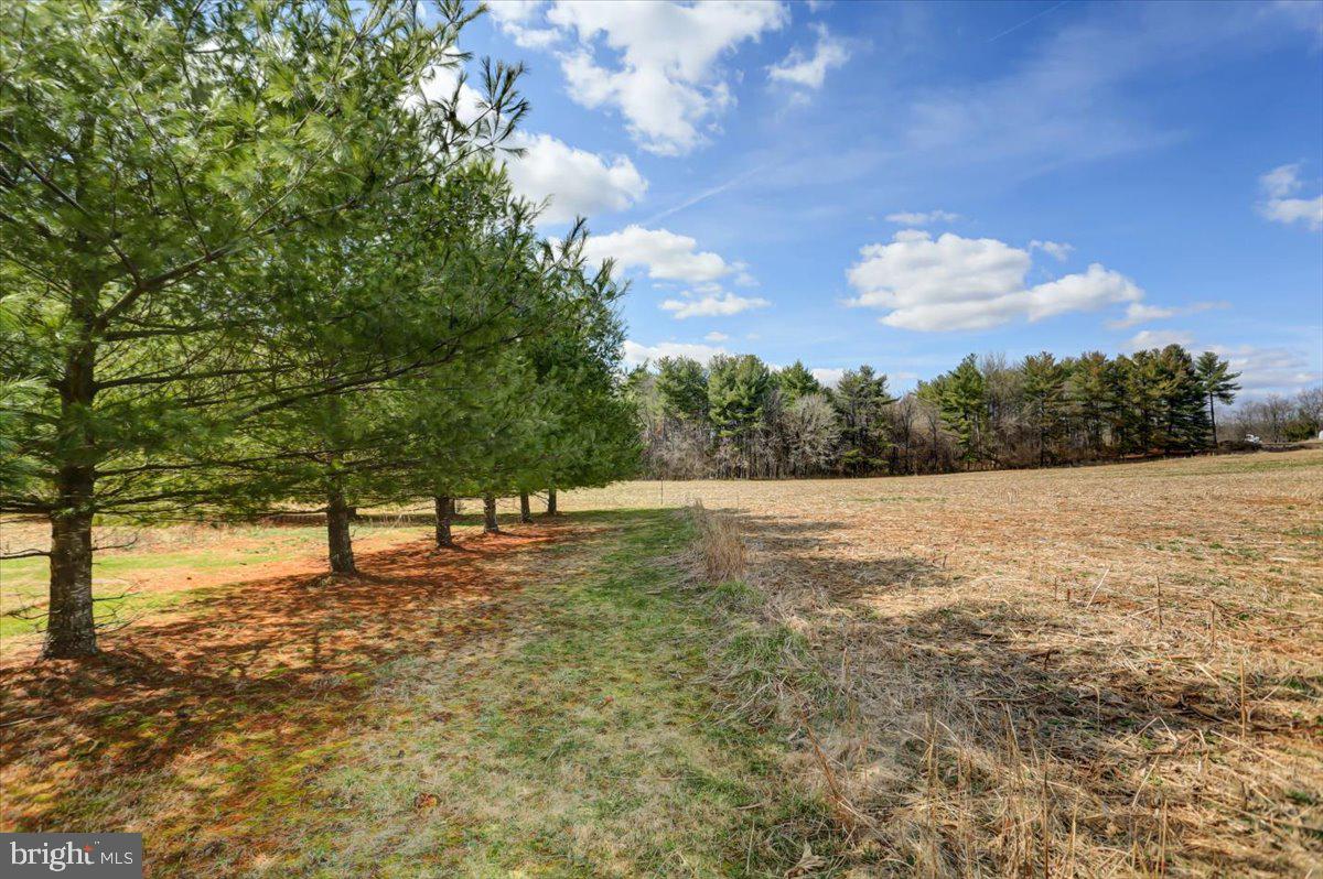 15530 Mobile Road Williamsport, MD 21795 - Photo 42 of 44 Backyard