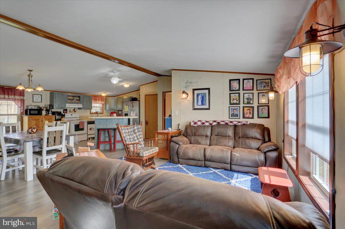 15530 Mobile Road Williamsport, MD 21795 - Photo 5 of 44 Living room with tall ceilings