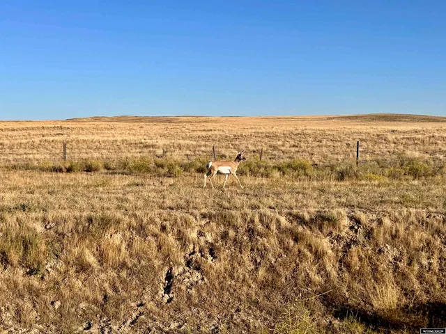 $1,200,000 | 32 Hwy Emblem Wy, Powell, WY 82435