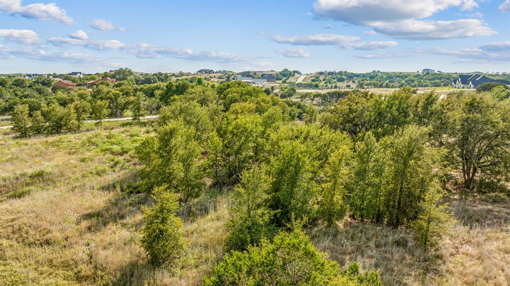 3111 Rio Grande Circle Cresson, TX 76035 - Photo 3 of 20 View of local wilderness