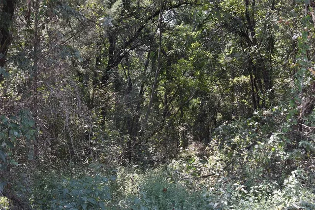 a view of an outdoor space with a tree