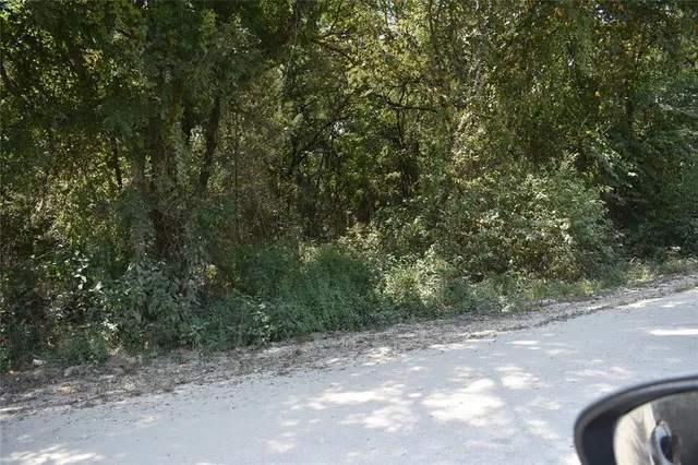 a view of a yard with a tree
