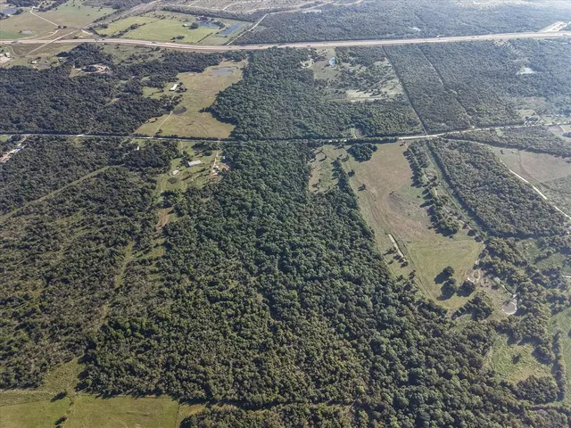 a view of a dry yard with trees