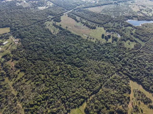 a view of a yard with plants and trees