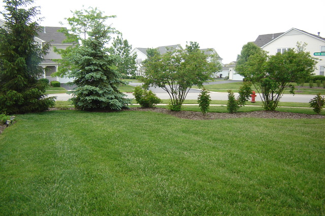 2977 Falling Waters Lane, Unit 2977 Lindenhurst, IL 60046 - Photo 22 of 25 a view of a park with large trees