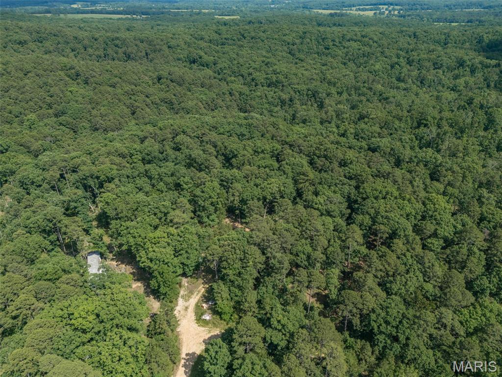 10130 Fish Hook Road Potosi, MO 63664 - Photo 4 of 29