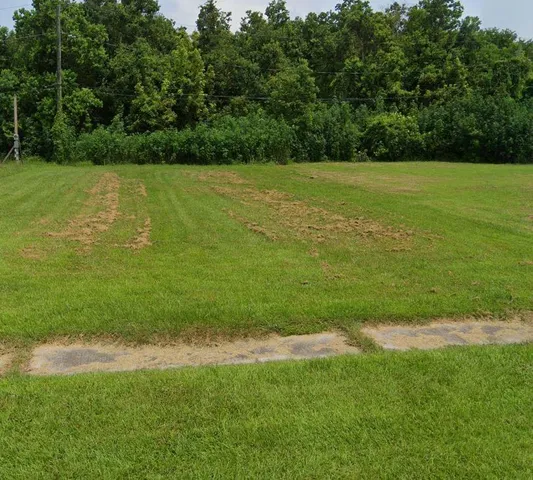 $43,500 | 4005 Najolia Street, Meraux, LA 70075