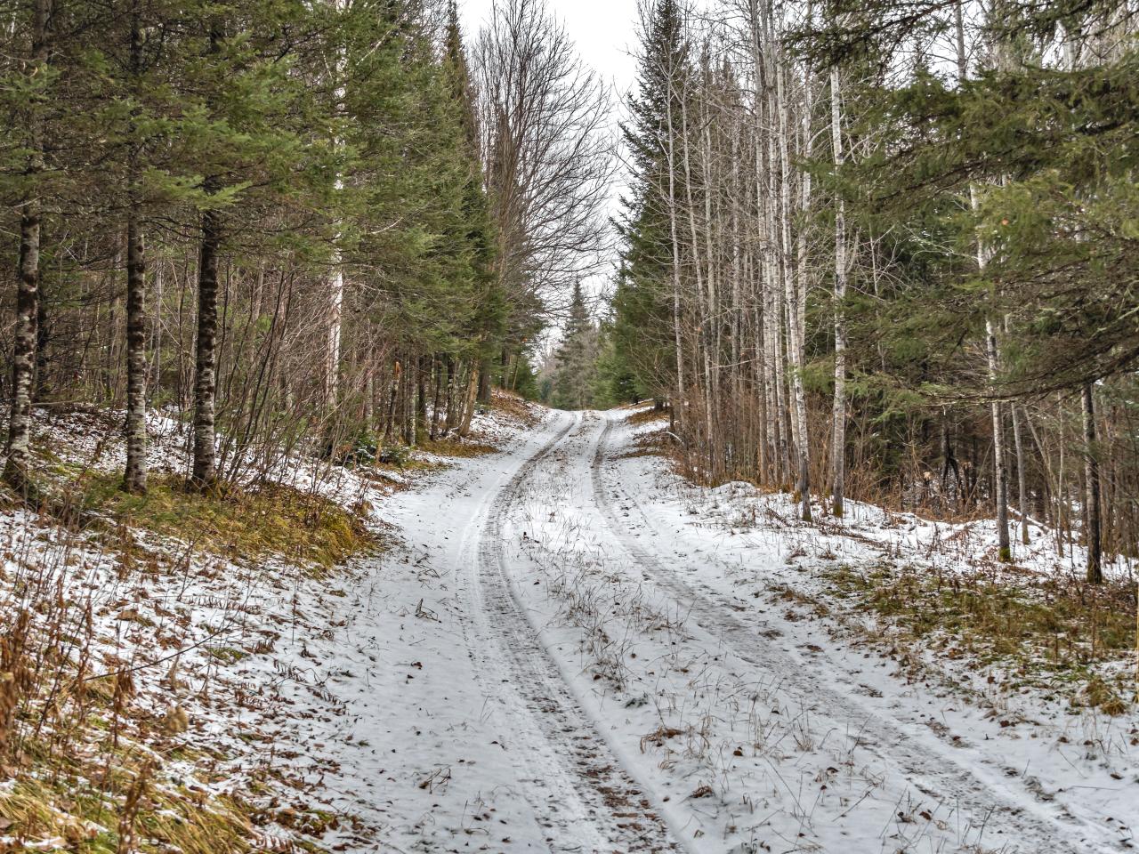 Off West Road Butternut, WI 54514 - Photo 7 of 21 Gallery Image 7