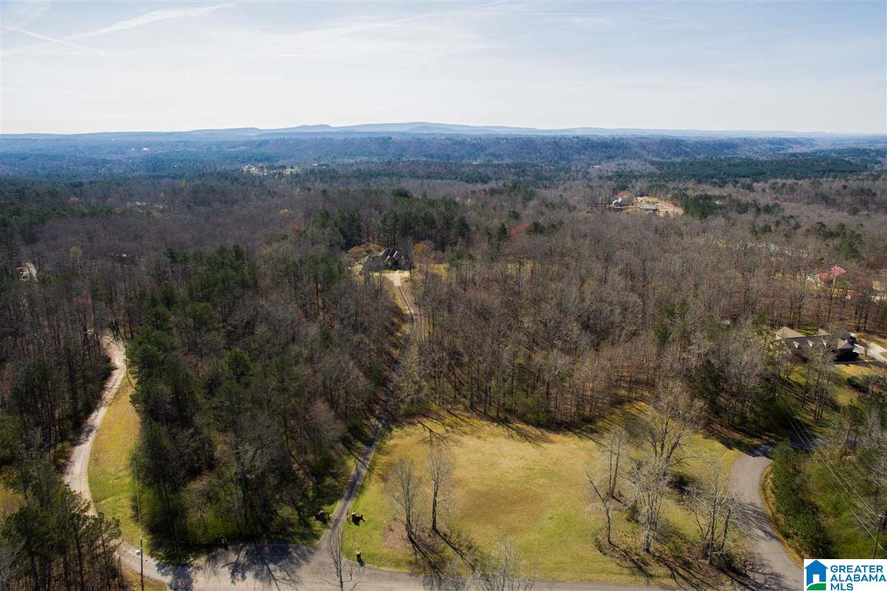 1400 Mountain View Lane Springville, AL 35146 - Photo 36 of 44
