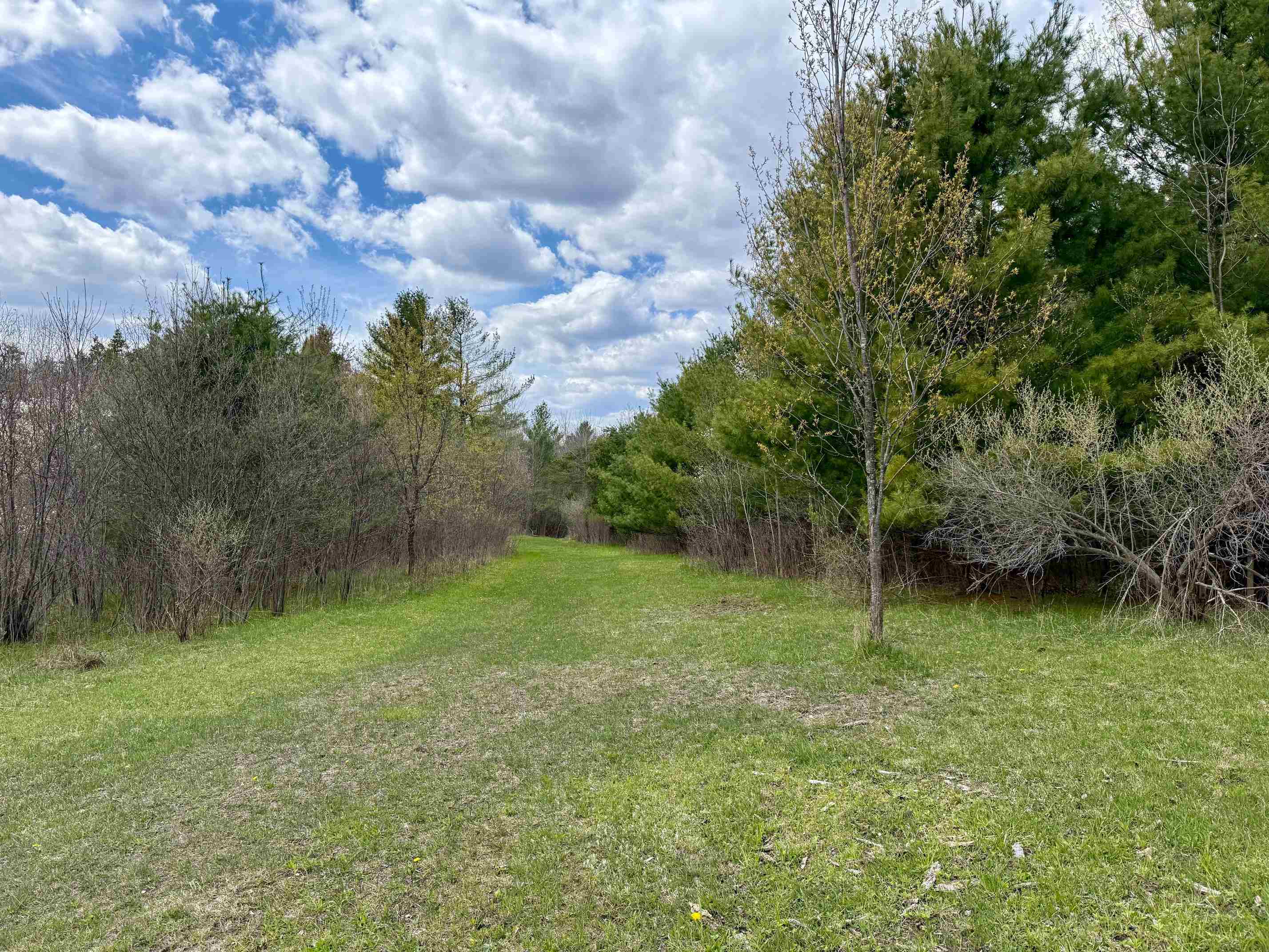 4921 East County Line Road Hale, MI 48739 - Photo 19 of 30
