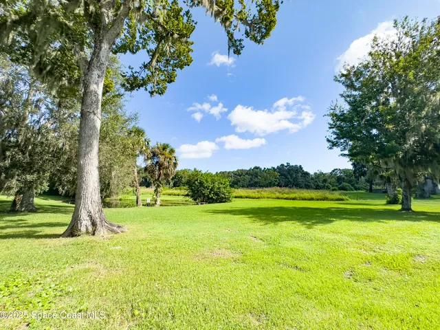 a view of an ocean from a yard