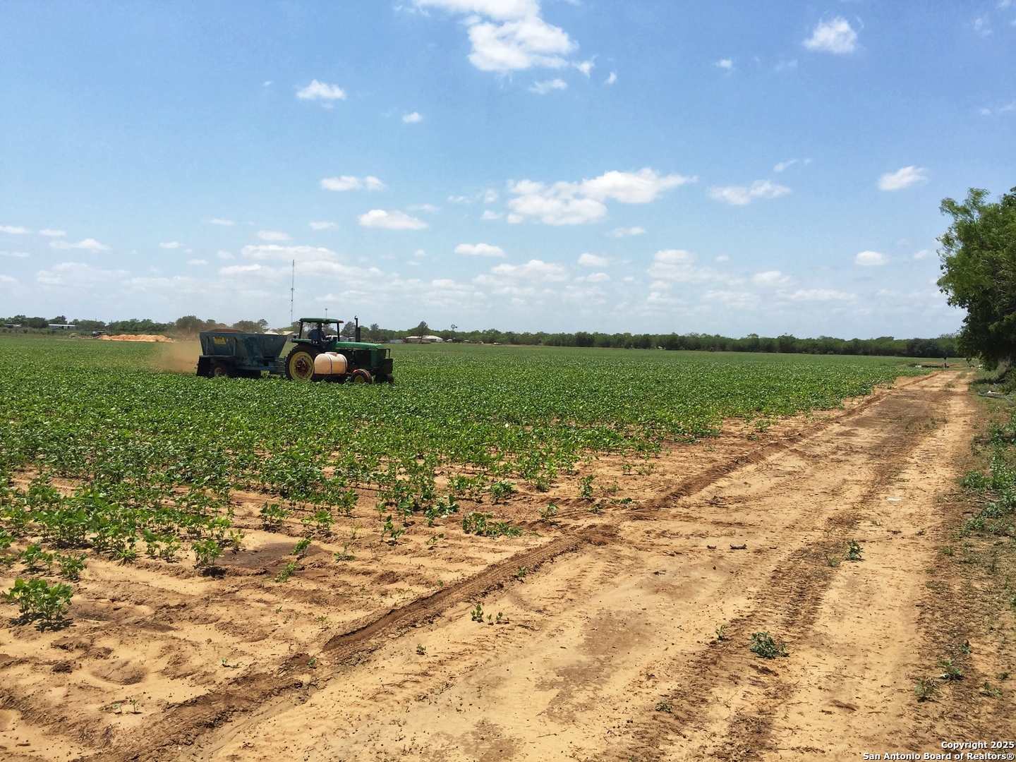304 County Road 6611 Devine, TX 78016 - Photo 21 of 32