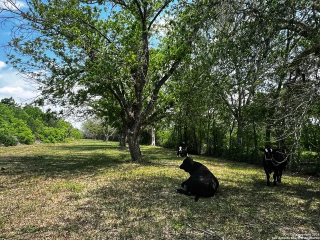 $679,780 | 304 County Road 6611, Devine, TX 78016