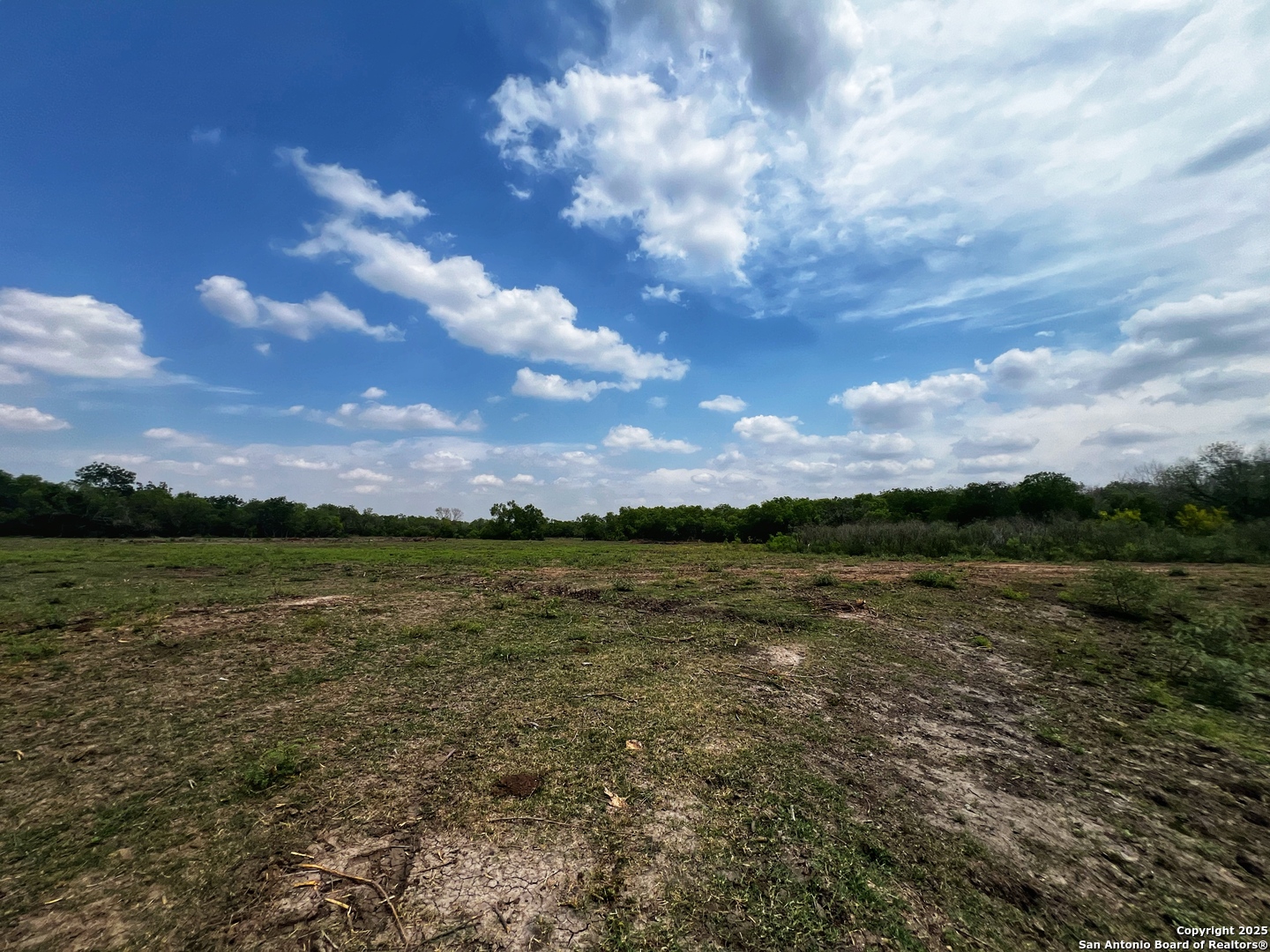 304 County Road 6611 Devine, TX 78016 - Photo 23 of 32
