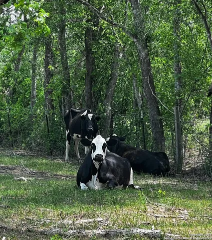 $679,780 | 304 County Road 6611, Devine, TX 78016