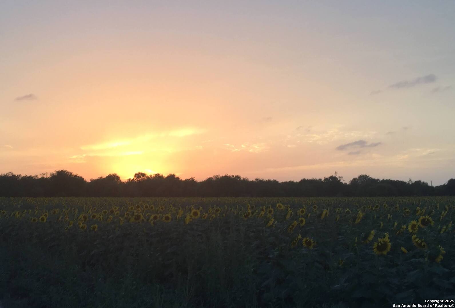 304 County Road 6611 Devine, TX 78016 - Photo 24 of 32
