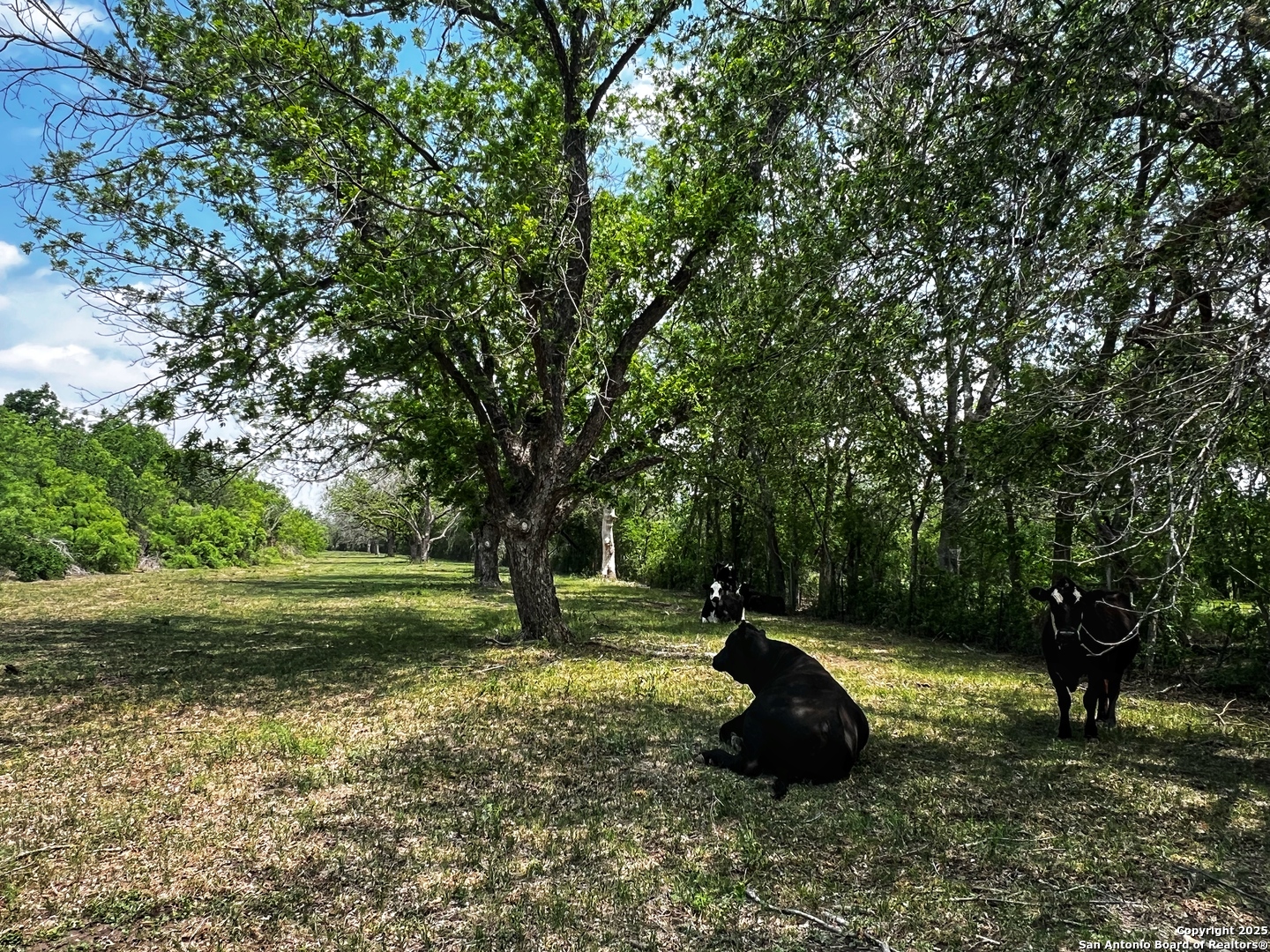 304 County Road 6611 Devine, TX 78016 - Photo 25 of 32