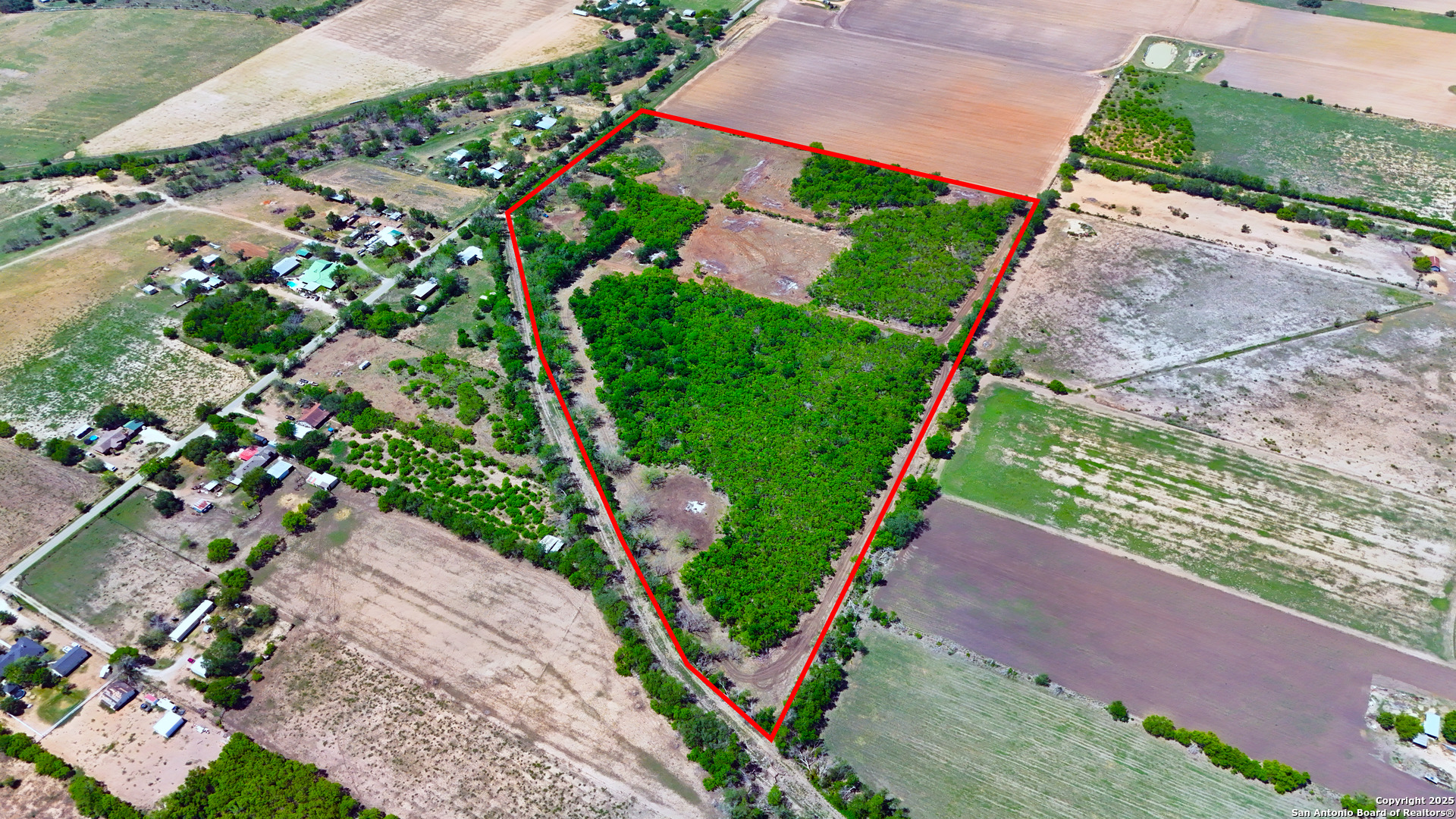 304 County Road 6611 Devine, TX 78016 - Photo 7 of 32