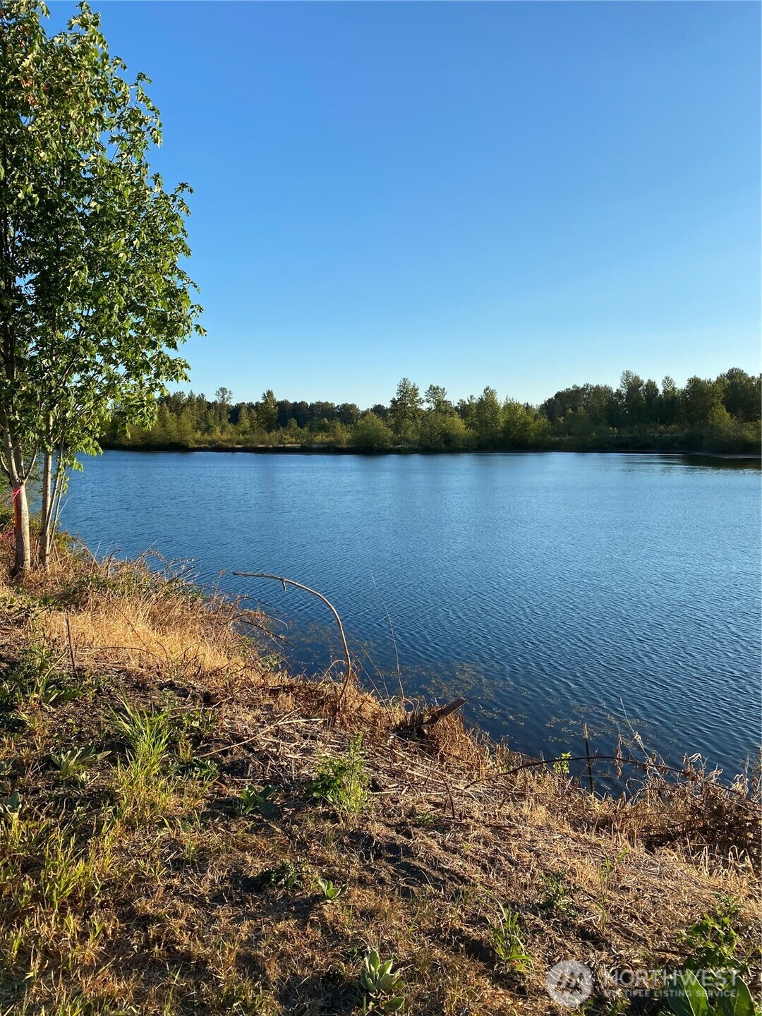 243 Collins Road Toledo, WA 98591 - Photo 11 of 12 a view of lake