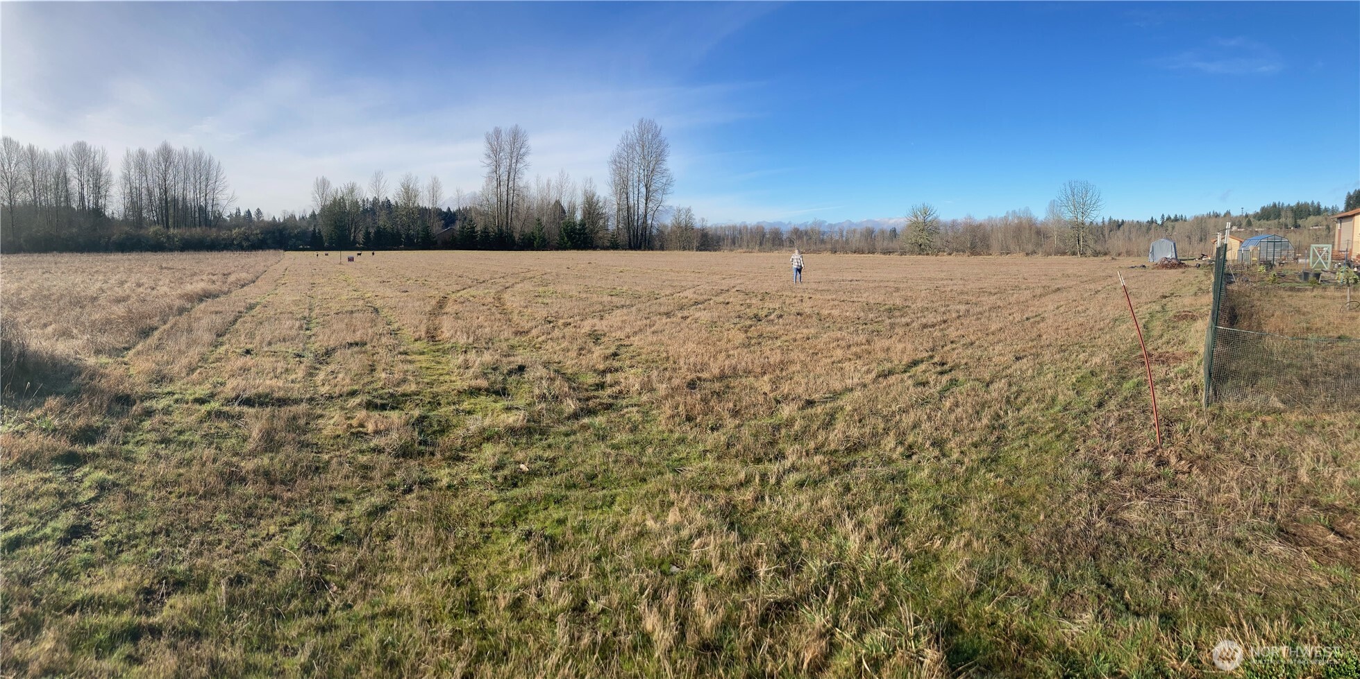 243 Collins Road Toledo, WA 98591 - Photo 9 of 12 a view of a yard with a lake
