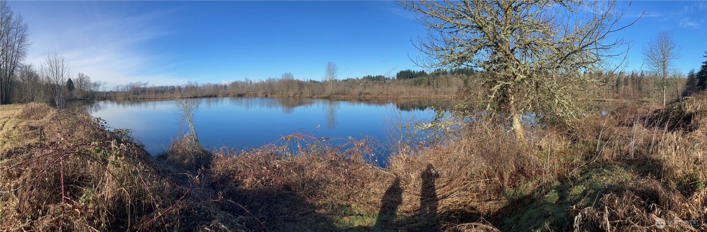 243 Collins Road Toledo, WA 98591 - Photo 10 of 12 a view of lake with green space