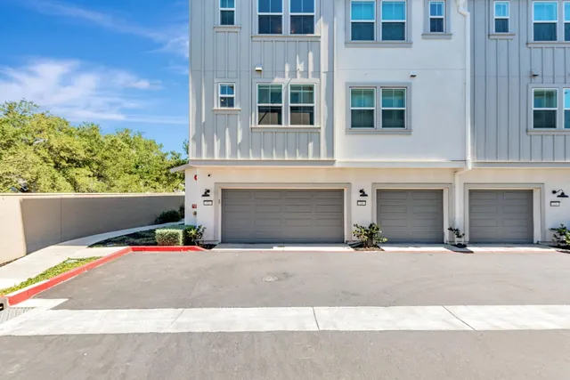 a view of a backyard with plants