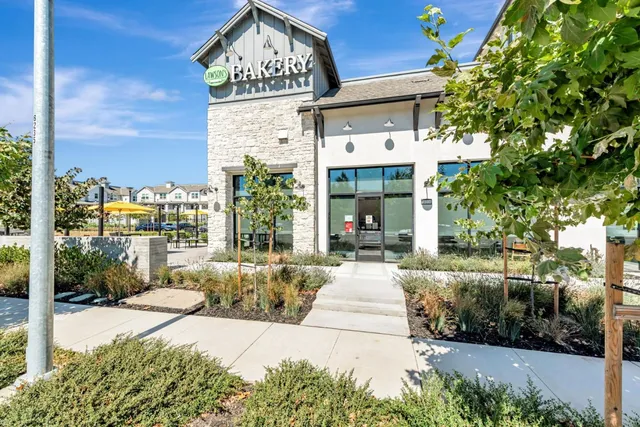 a view of a very nice looking yard