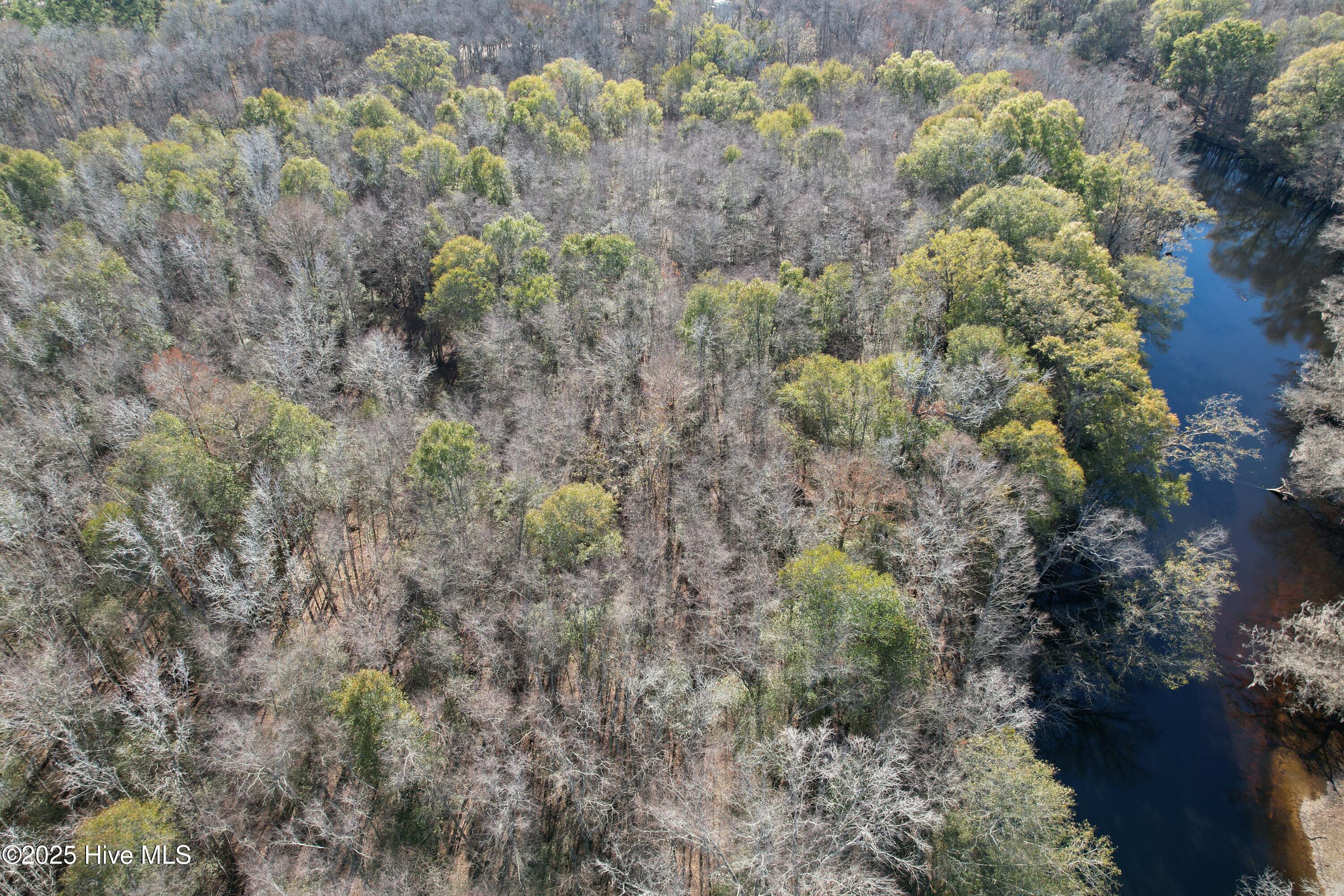 0 Macedonia Church Road Evergreen, NC 28438 - Photo 9 of 34 Image 9