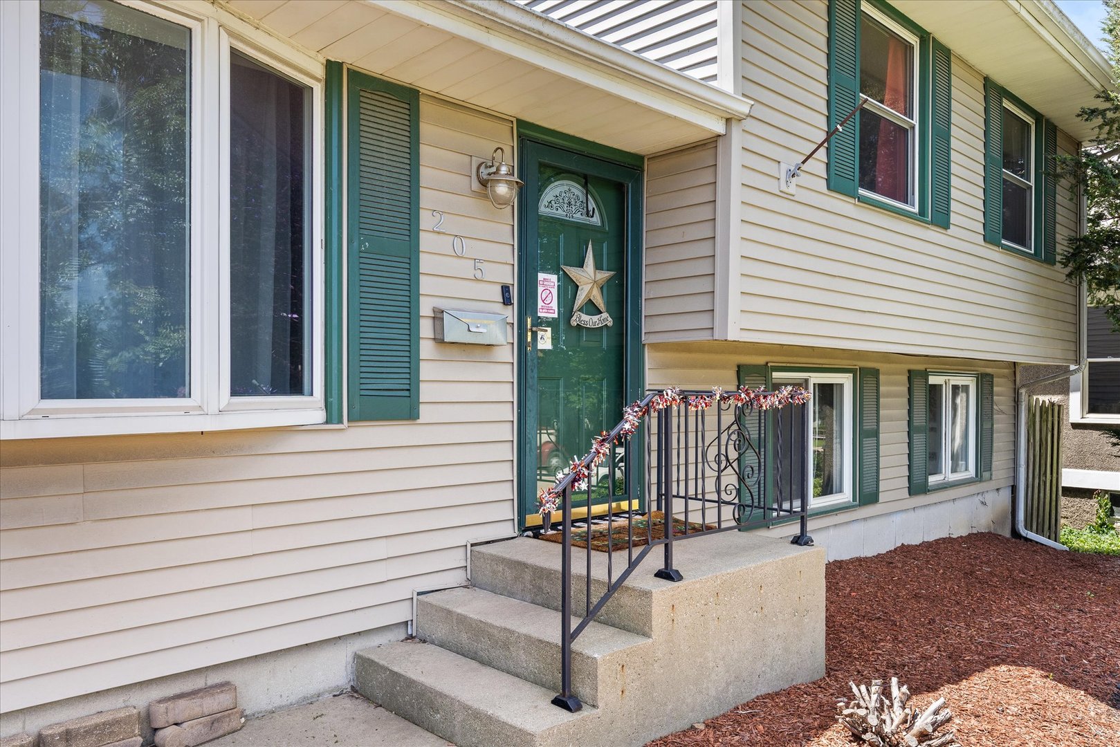 205 West Dakota Street Spring Valley, IL 61362 - Photo 3 of 35