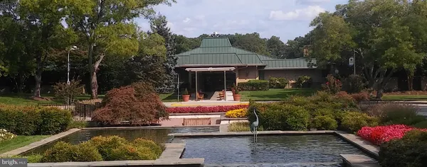 a view of a garden with plants