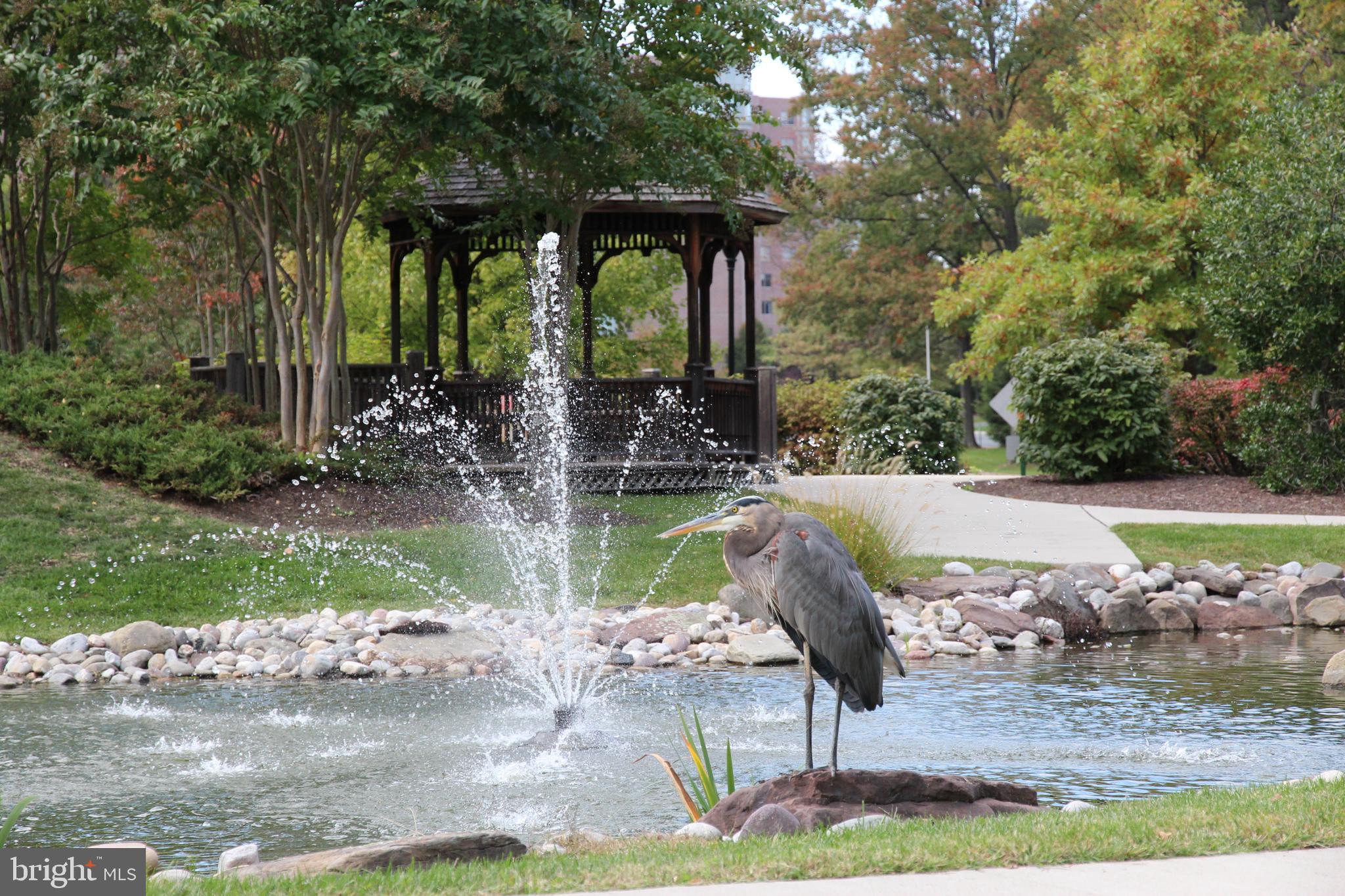 15300 Beaverbrook Court, Unit 882B Silver Spring, MD 20906 - Photo 41 of 44 a view of a garden with plants