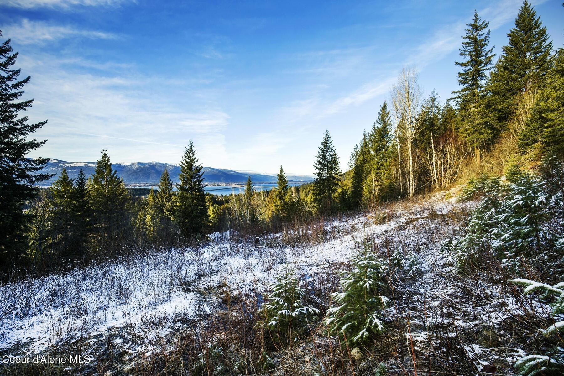 Lot 2 Forever View Road Sagle, ID 83860 - Photo 9 of 24 Ground Floor Entry