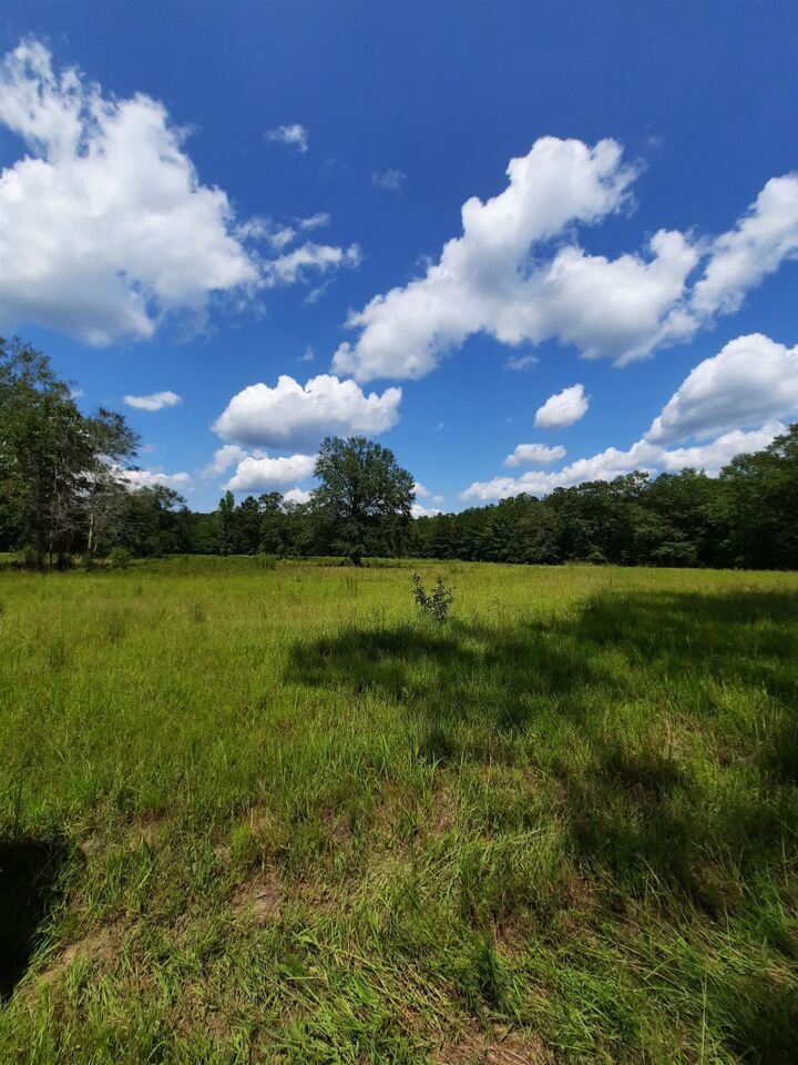 0 Lord Fountain Road Ivey, GA 31031 - Photo 1 of 1 Gallery Image 1