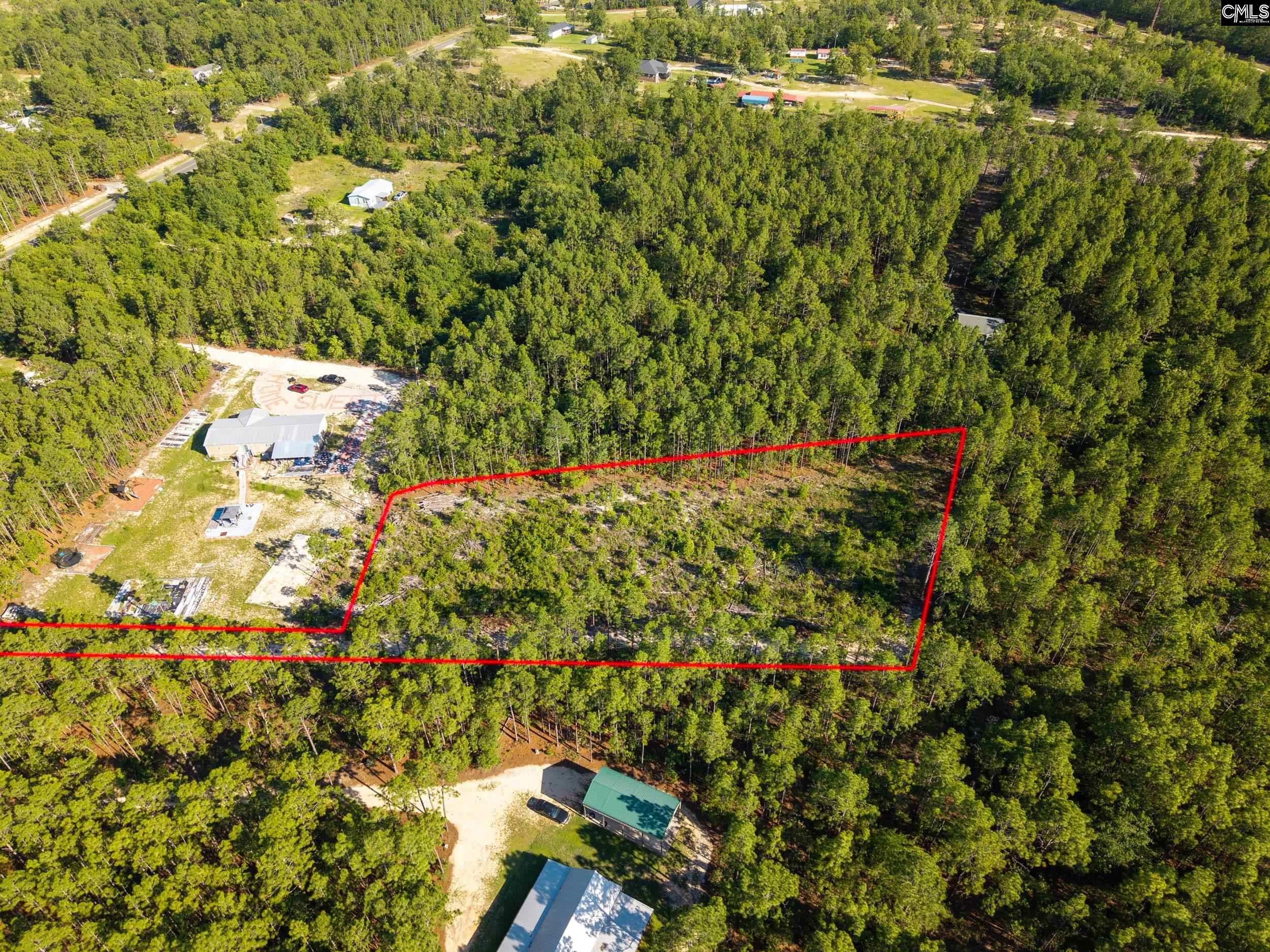 0 Pine Plain Road Gaston, SC 29053 - Photo 6 of 7