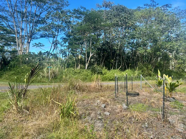 a view of outdoor space with trees