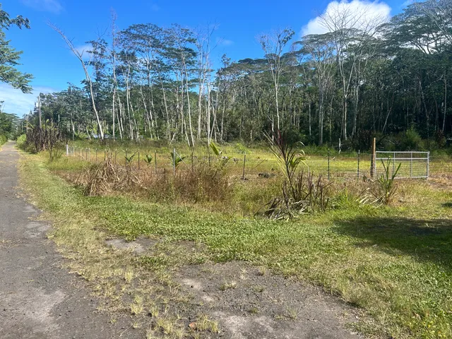 a view of a yard with a fountain