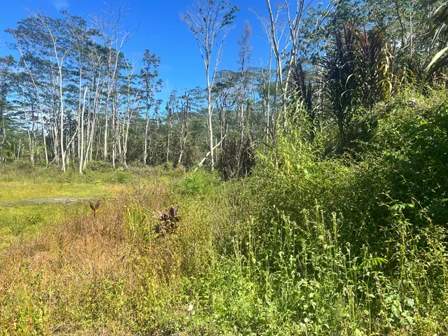 a view of outdoor space and a yard